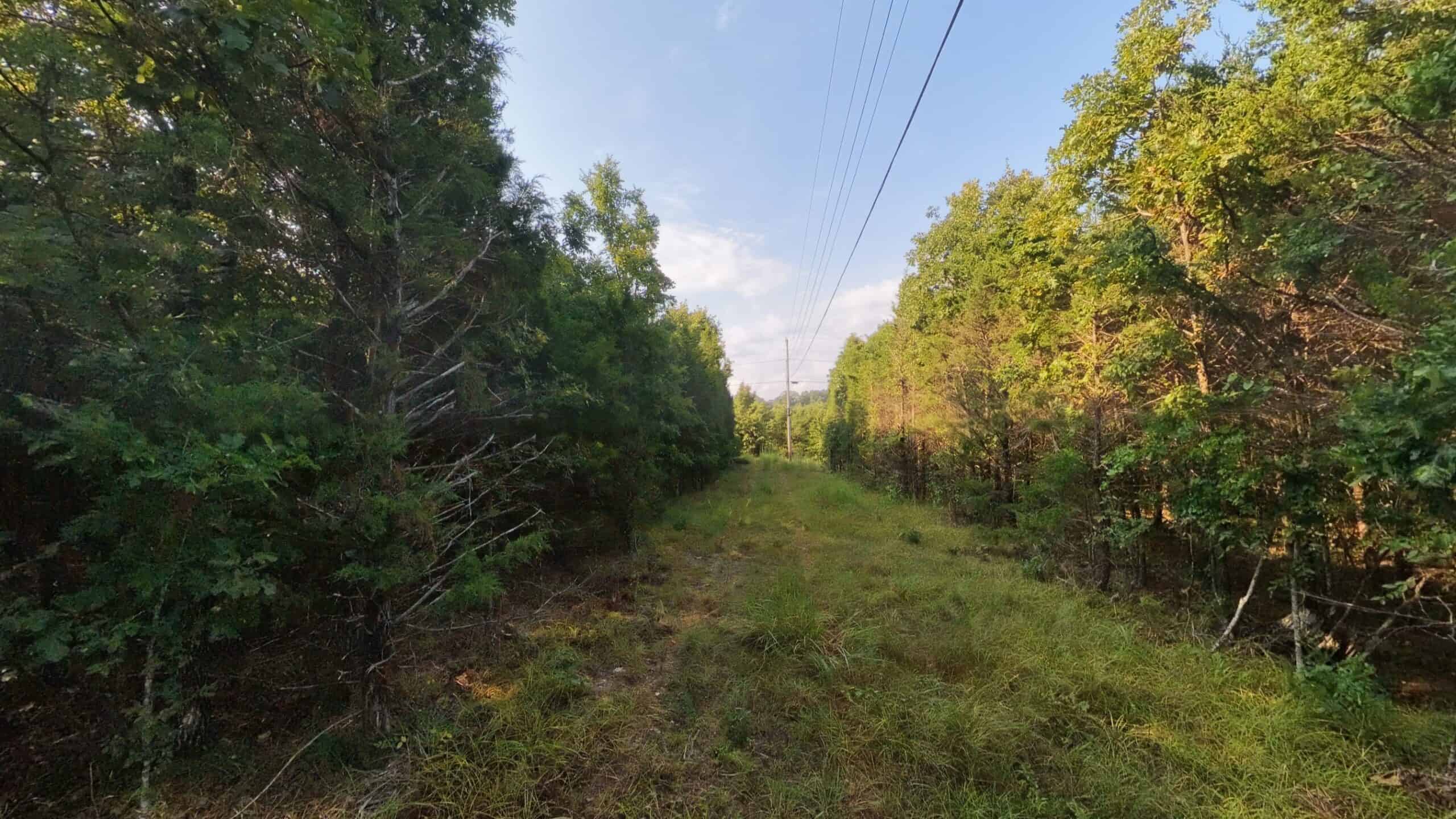Hunting Land Near Bull Shoals Lake