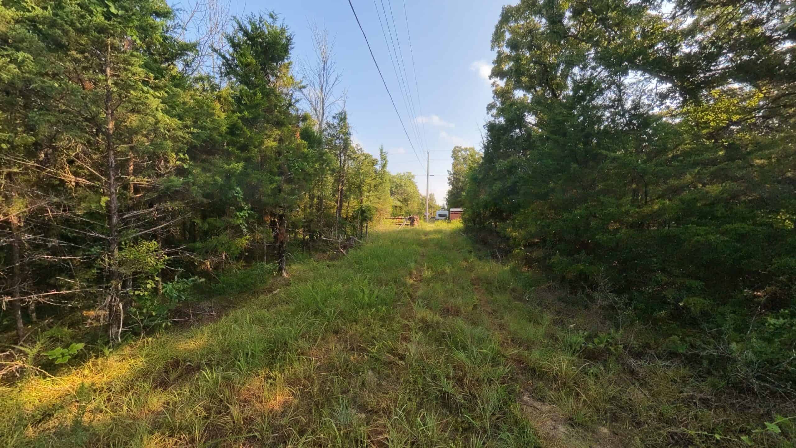 Hunting Land Near Bull Shoals Lake