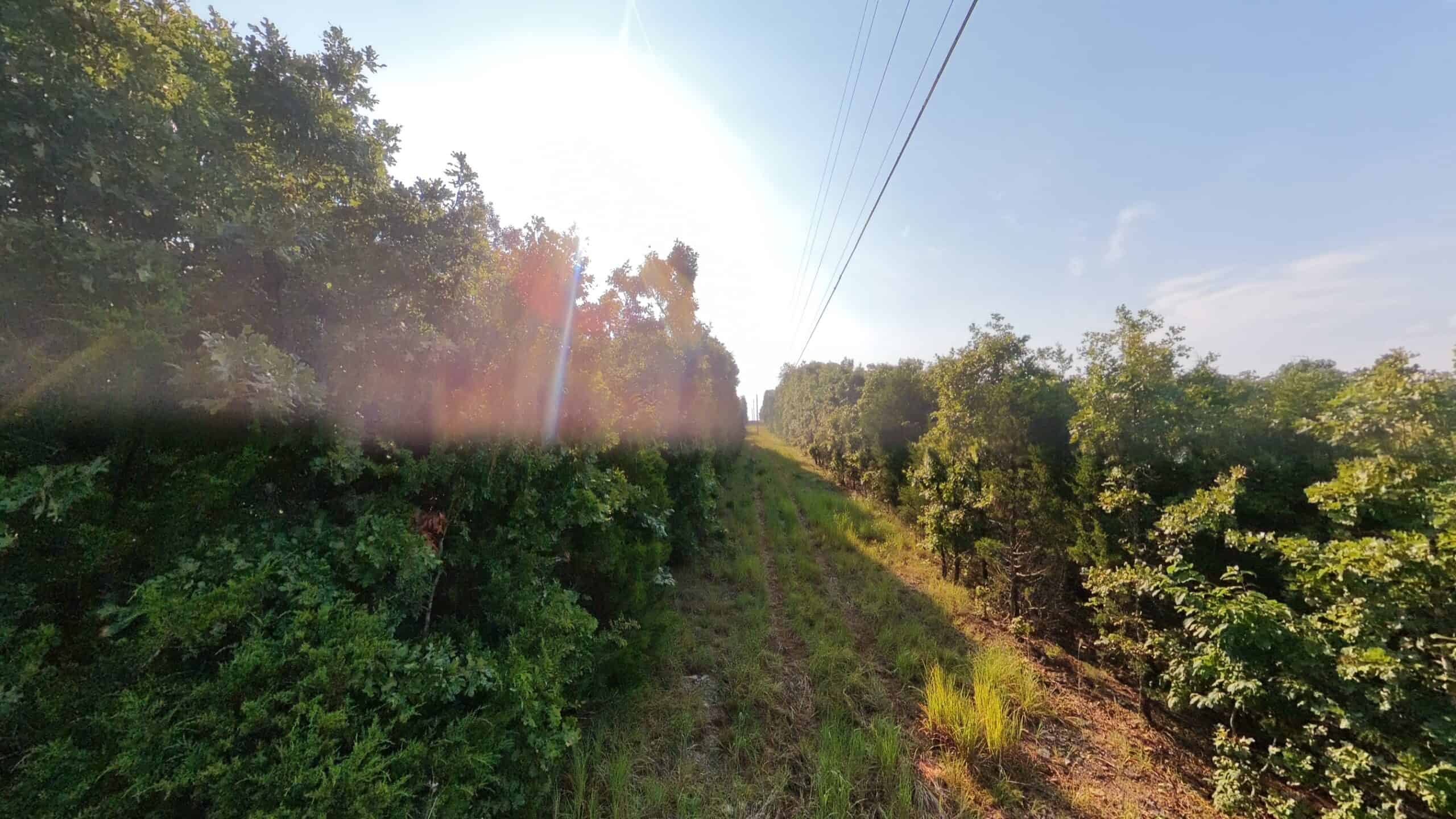 Hunting Land Near Bull Shoals Lake