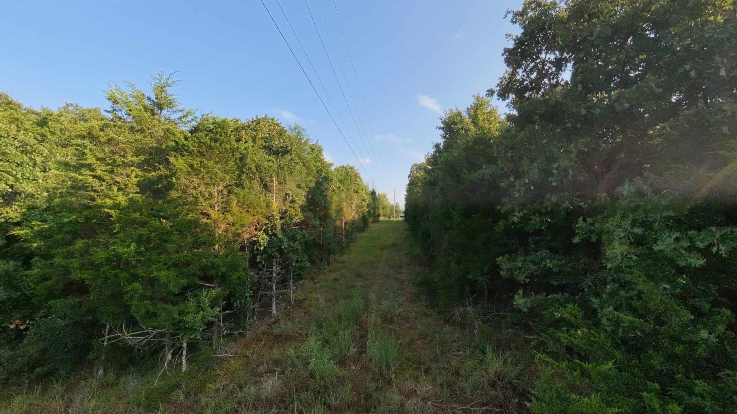 Hunting Land Near Bull Shoals Lake