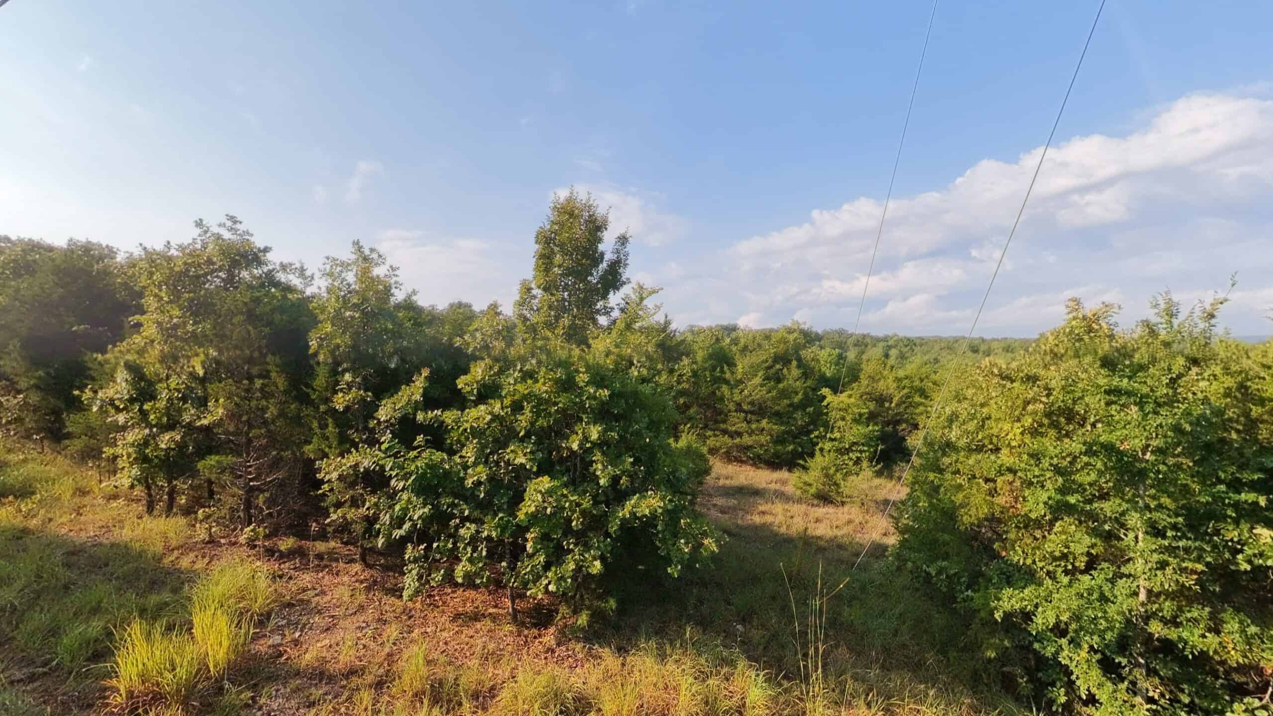 Hunting Land Near Bull Shoals Lake