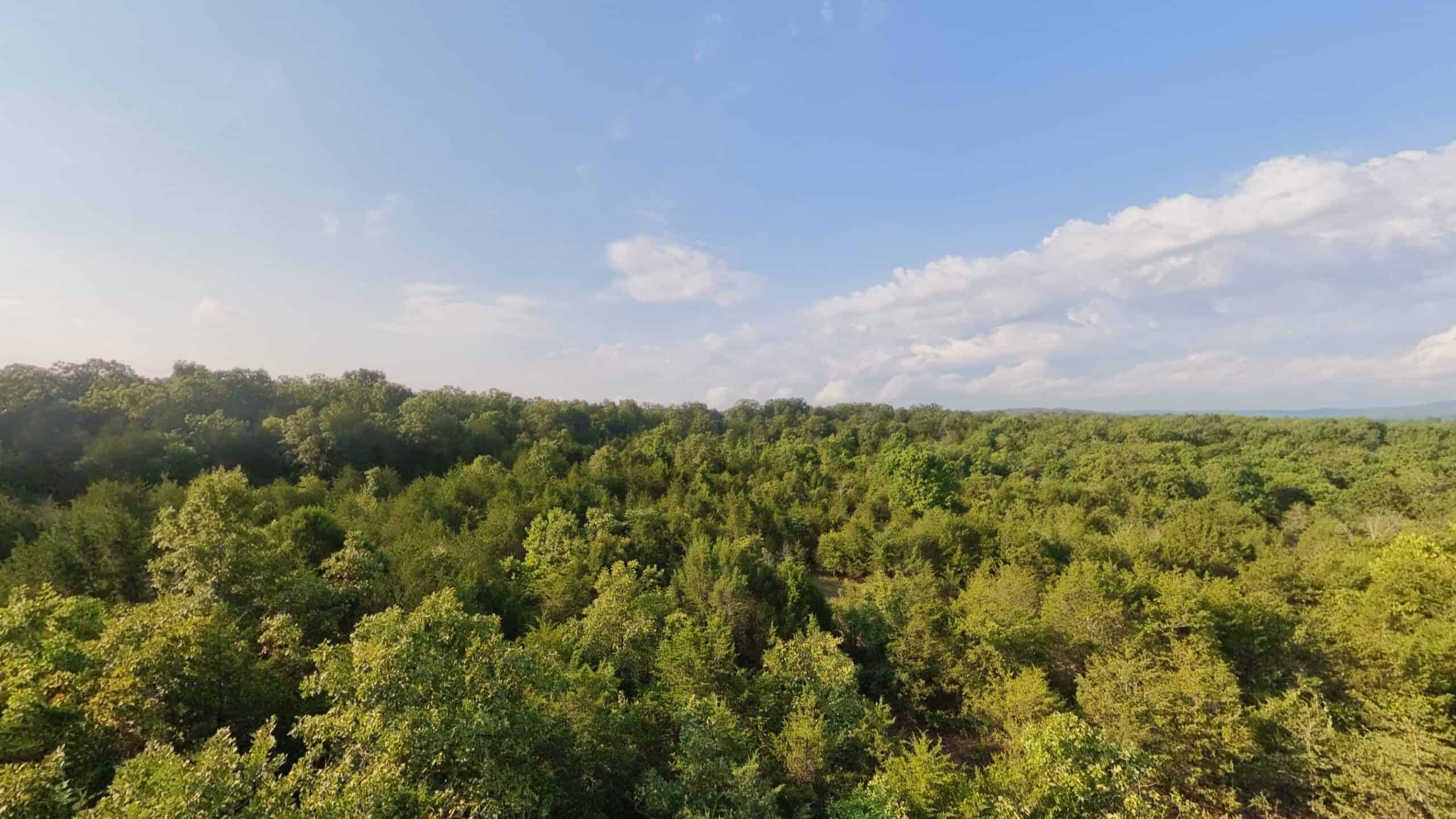 Hunting Land Near Bull Shoals Lake