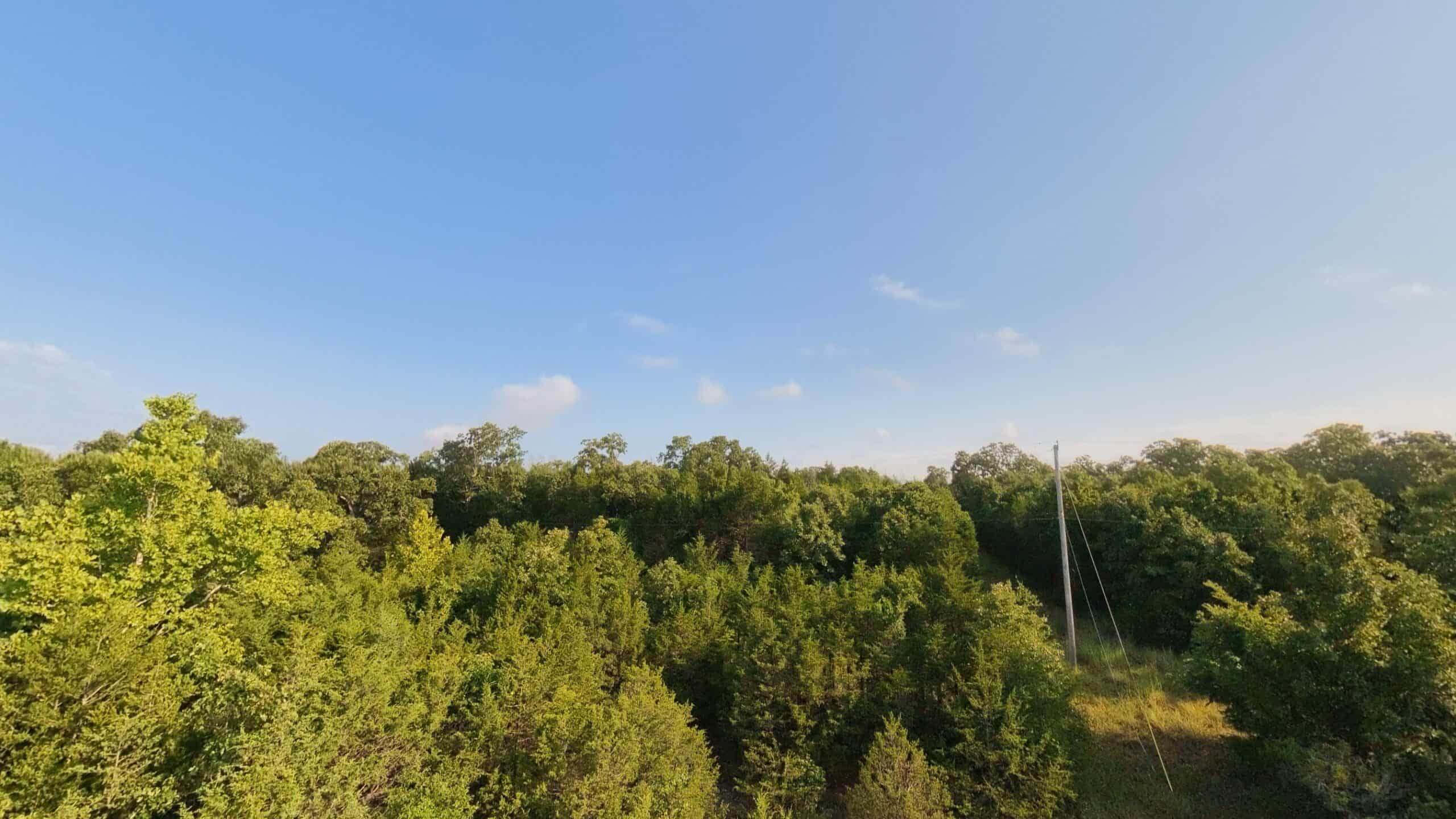 Hunting Land Near Bull Shoals Lake