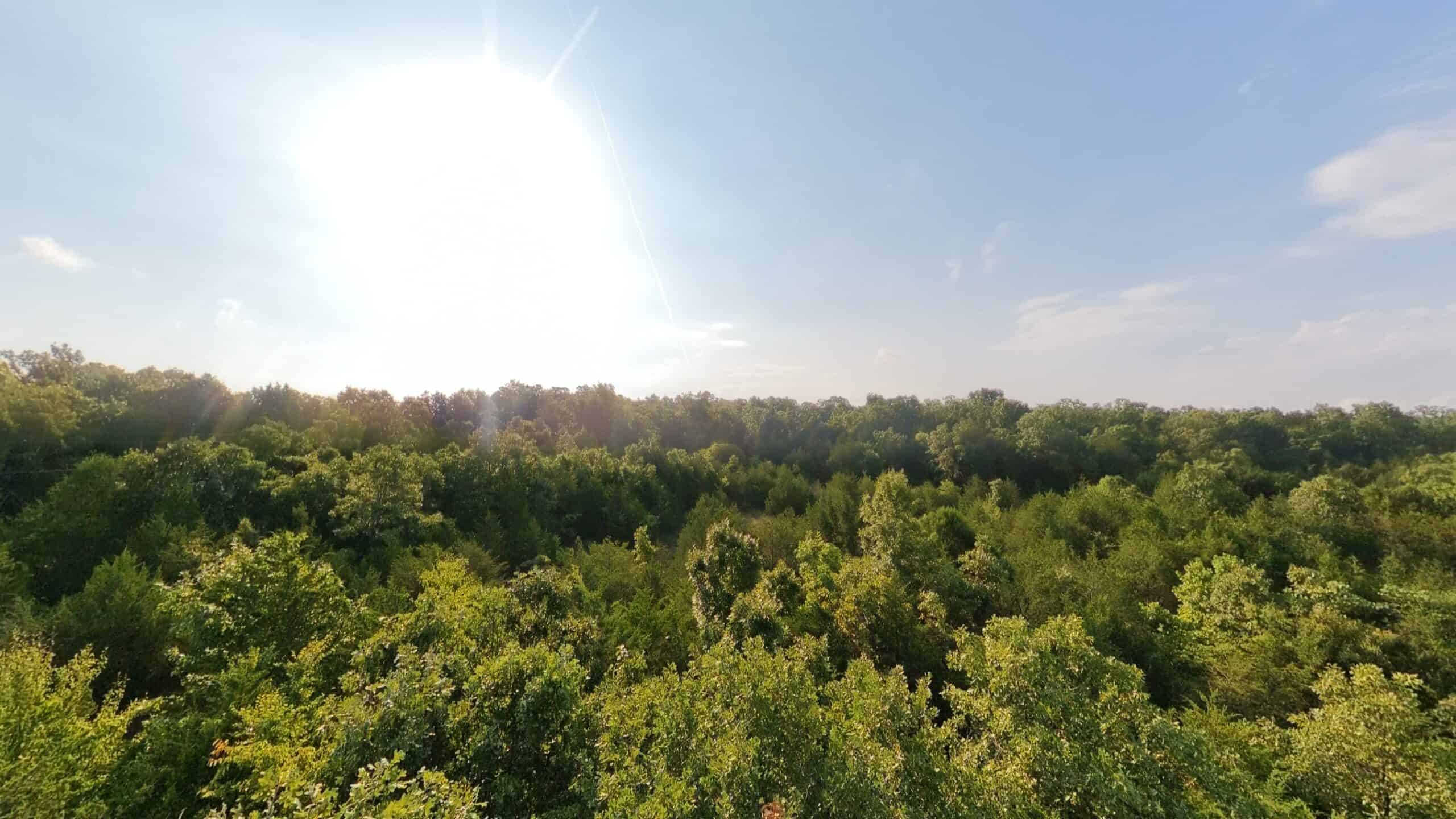 Hunting Land Near Bull Shoals Lake