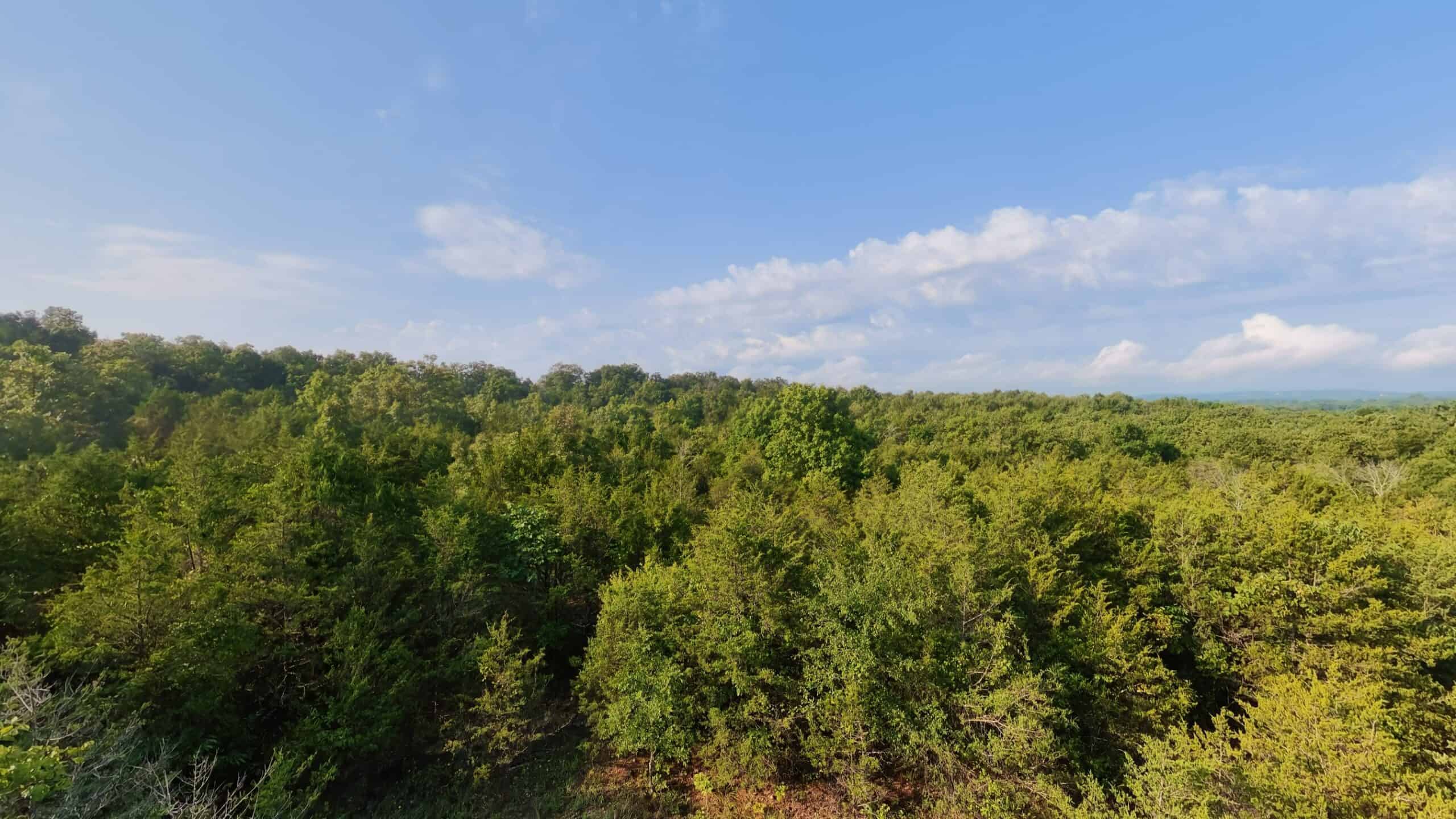 Hunting Land Near Bull Shoals Lake
