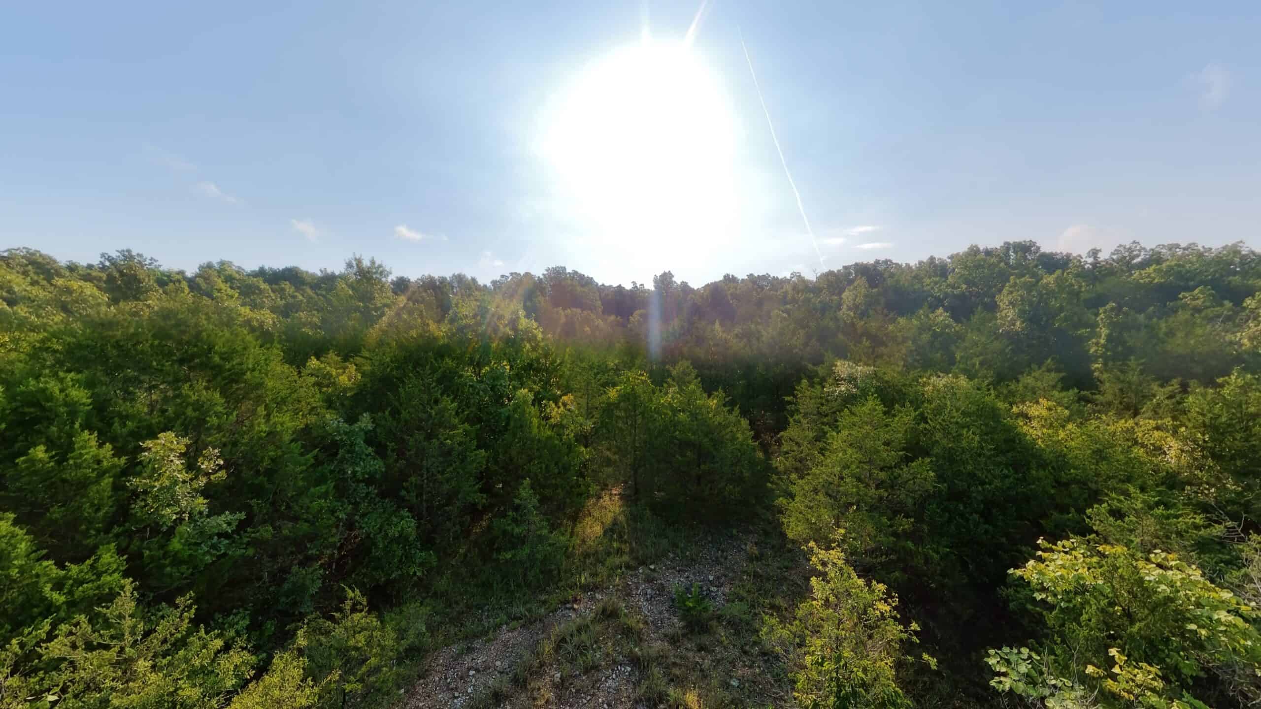Hunting Land Near Bull Shoals Lake