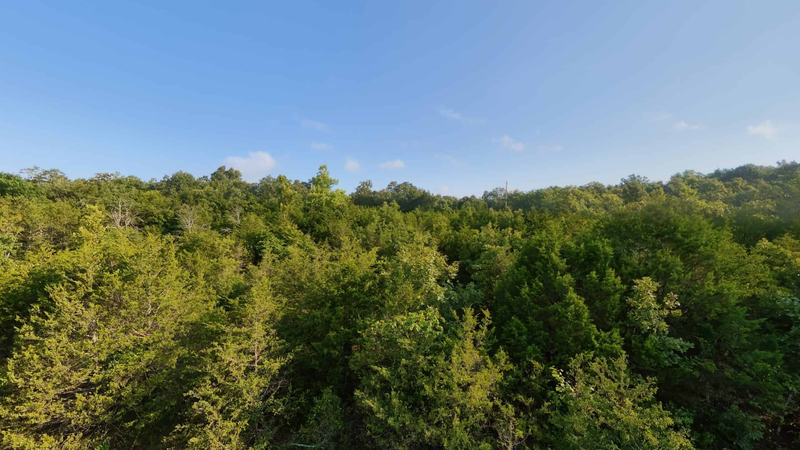 Hunting Land Near Bull Shoals Lake