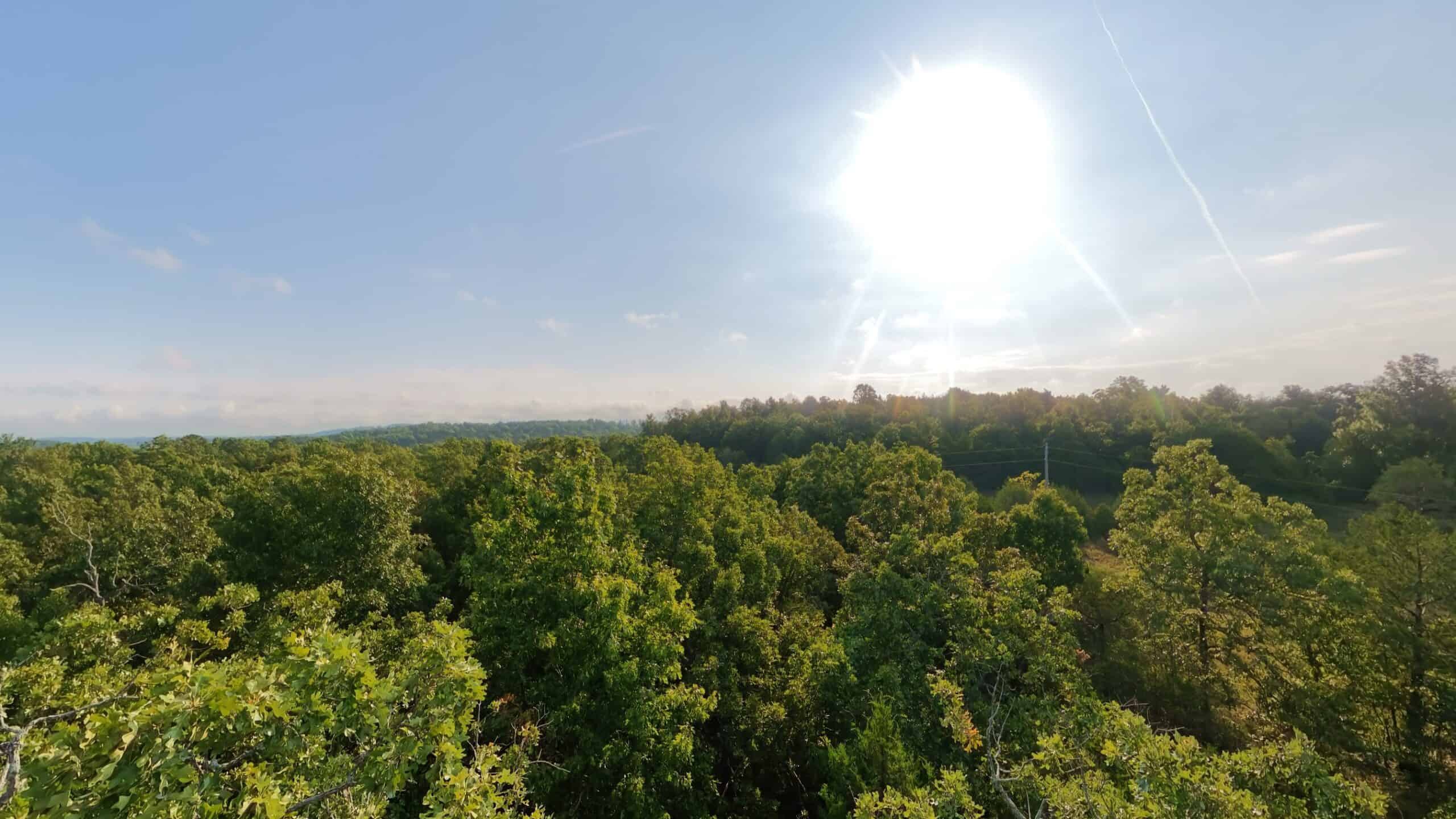Hunting Land Near Bull Shoals Lake