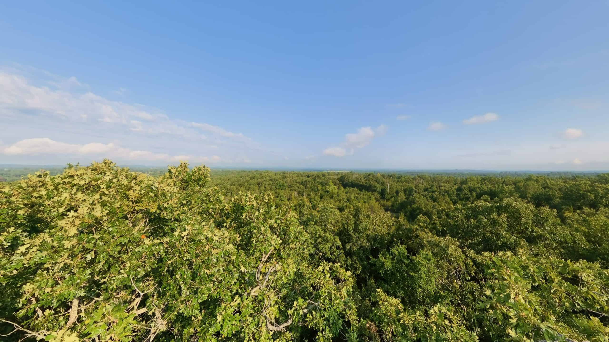Hunting Land Near Bull Shoals Lake