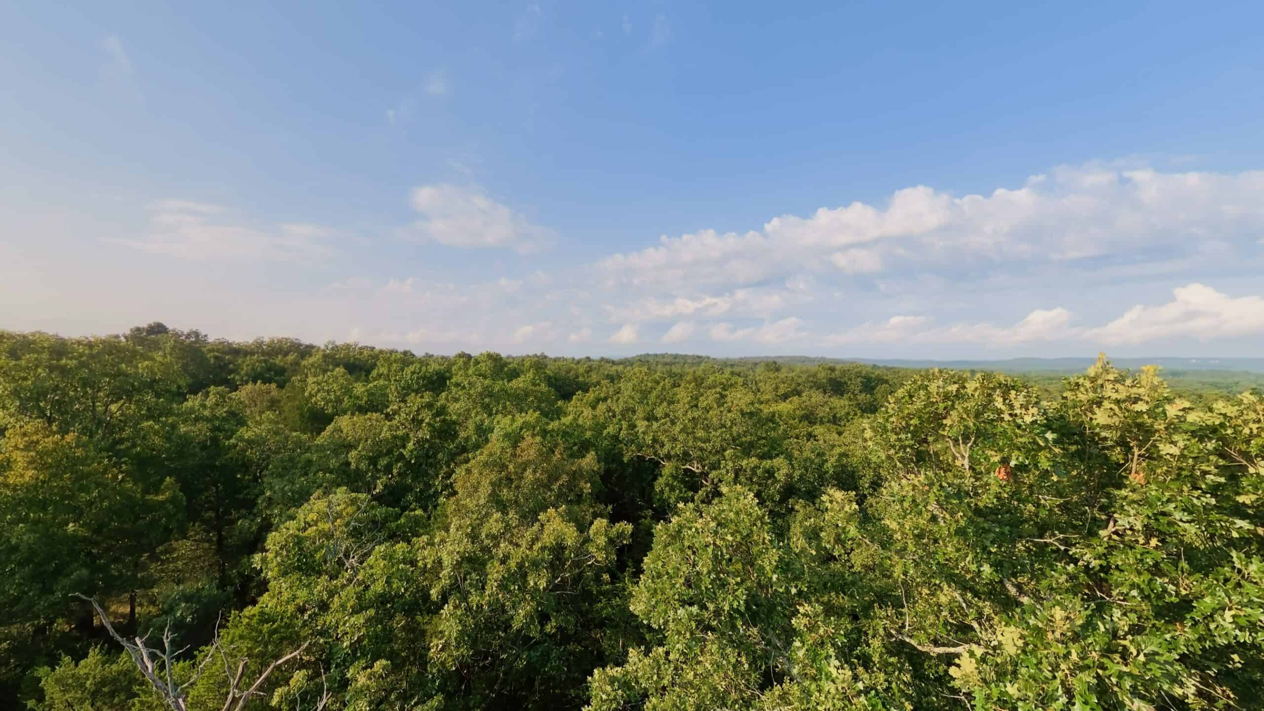 Hunting Land Near Bull Shoals Lake