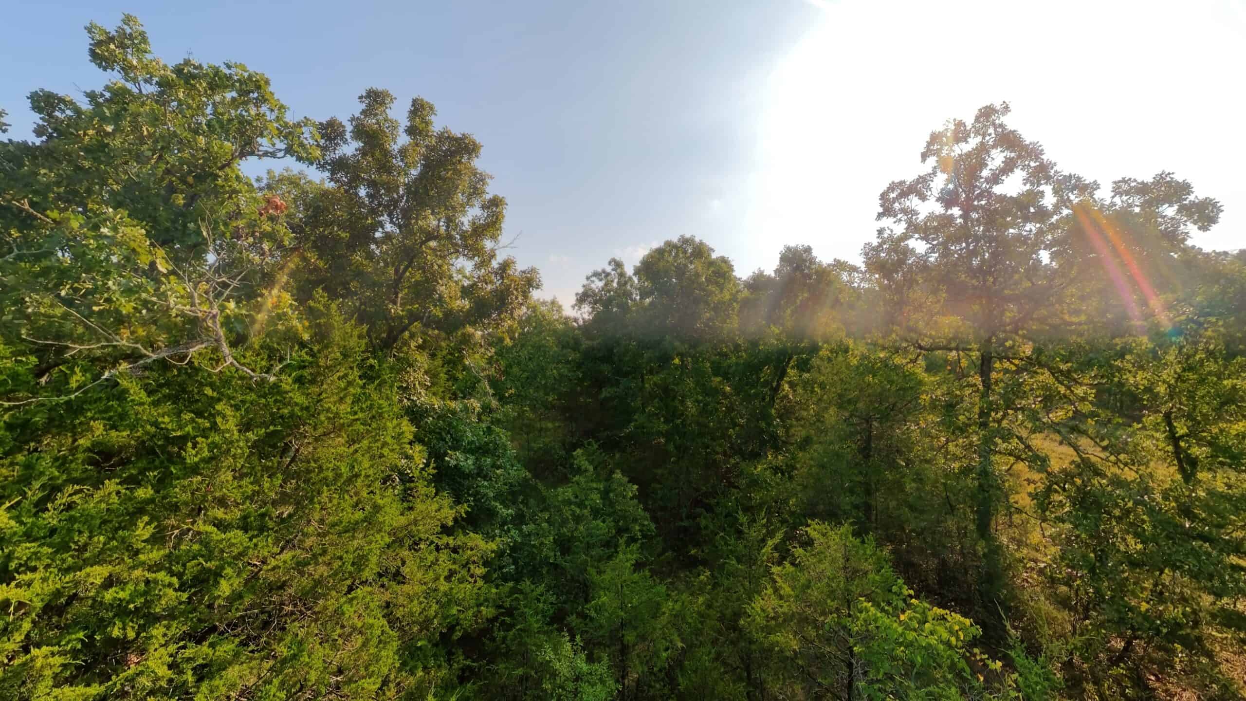 Hunting Land Near Bull Shoals Lake