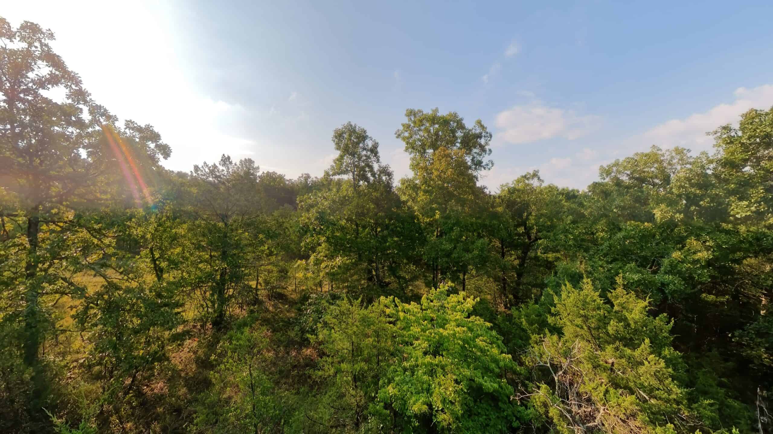 Hunting Land Near Bull Shoals Lake