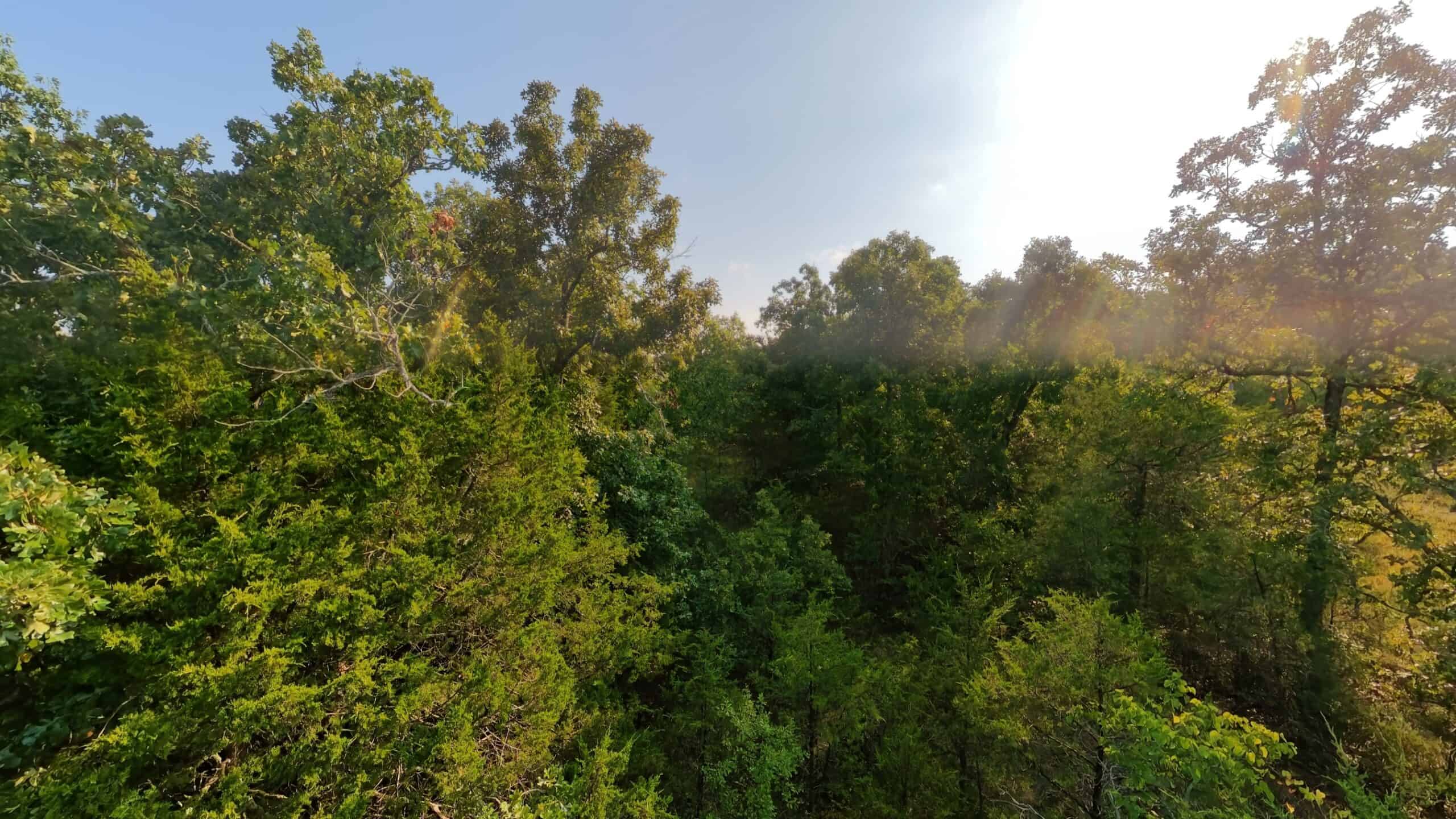 Hunting Land Near Bull Shoals Lake