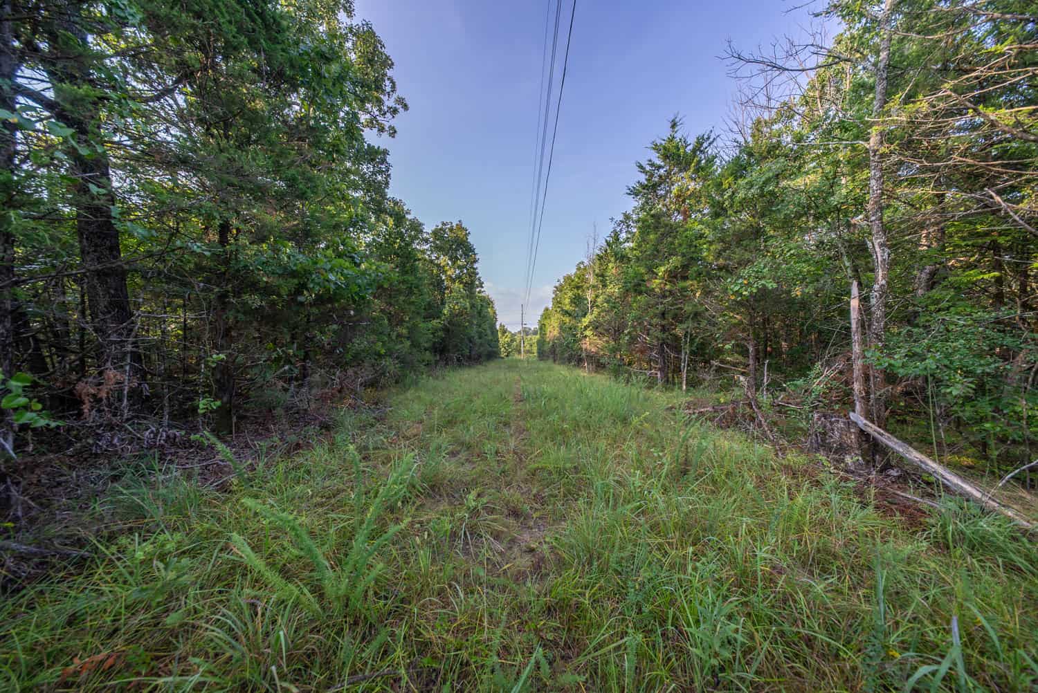 Hunting Land Near Bull Shoals Lake
