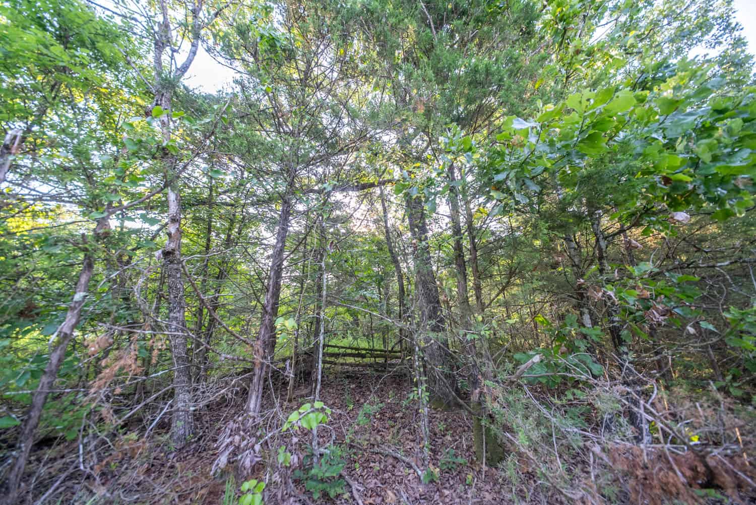 Hunting Land Near Bull Shoals Lake