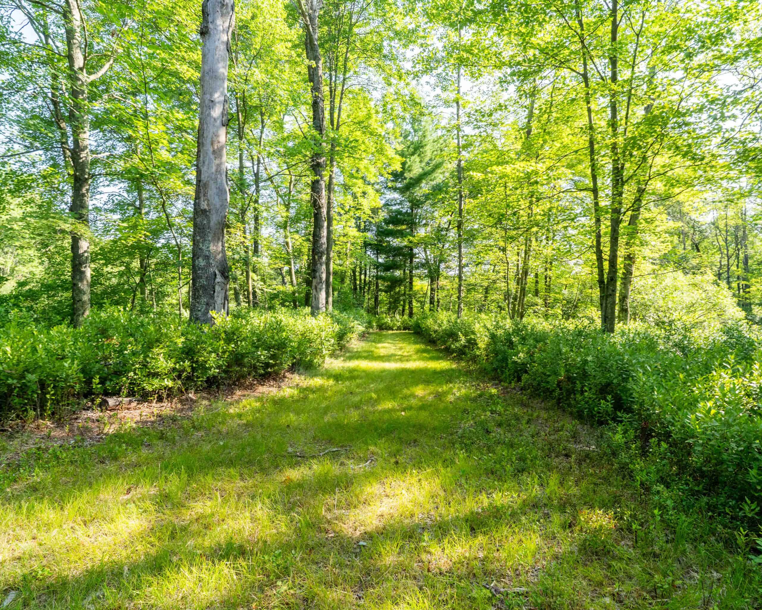 150+/- Acre Juneau County Hunting & Recreational Estate Home, Pond & Outdoor Retreat