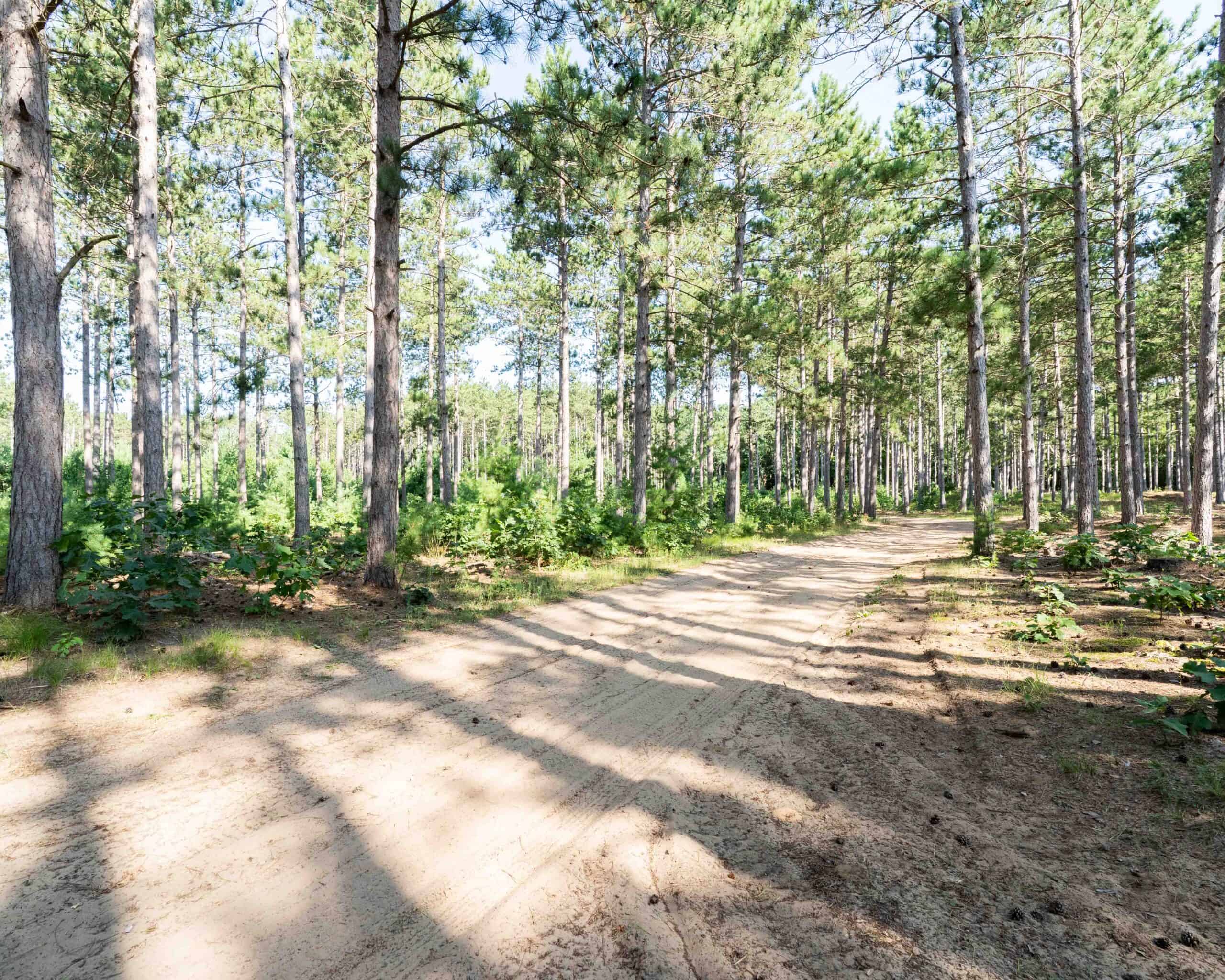 150+/- Acre Juneau County Hunting & Recreational Estate Home, Pond & Outdoor Retreat