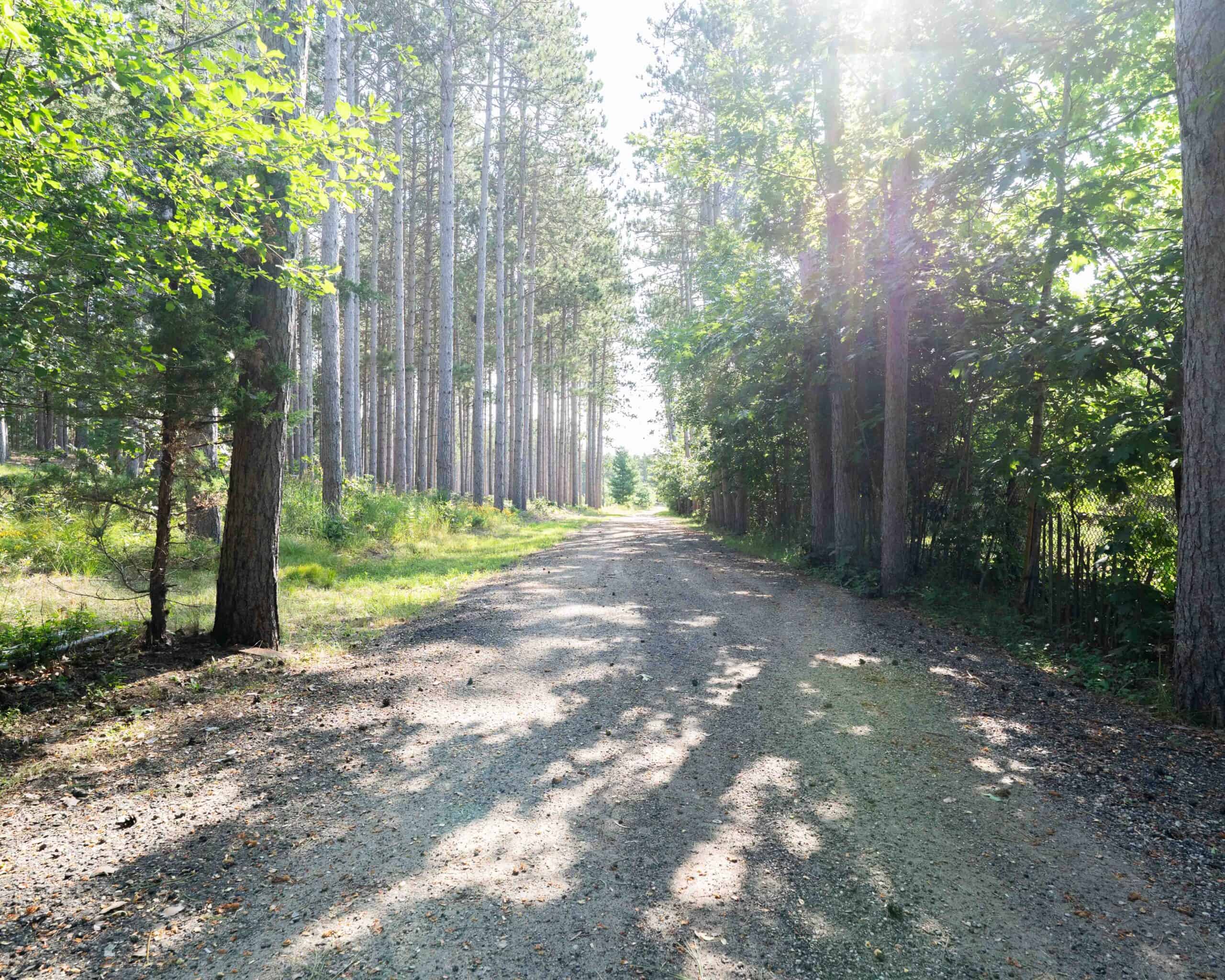 150+/- Acre Juneau County Hunting & Recreational Estate Home, Pond & Outdoor Retreat