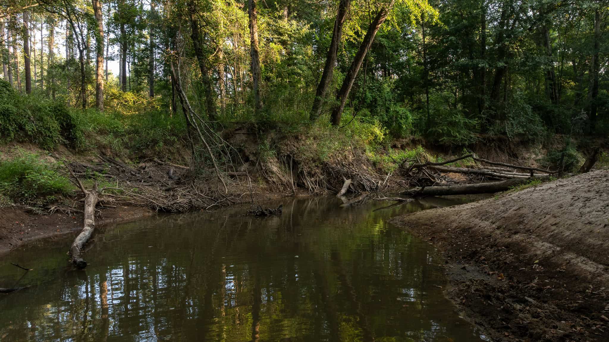 East TX Hunting Land for Sale | 327 Acres | River & Duck Slough | Laneville TX