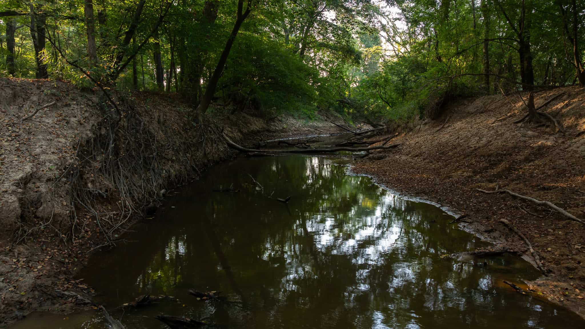 East TX Hunting Land for Sale | 327 Acres | River & Duck Slough | Laneville TX