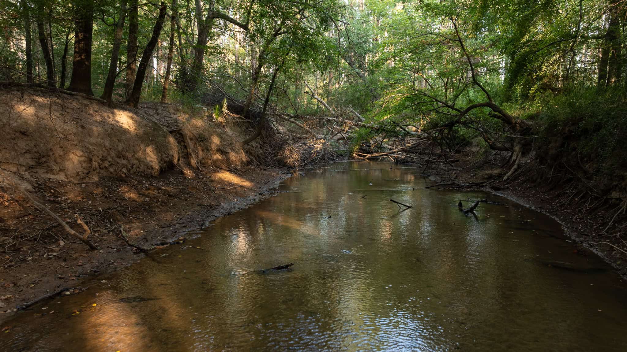 East TX Hunting Land for Sale | 327 Acres | River & Duck Slough | Laneville TX