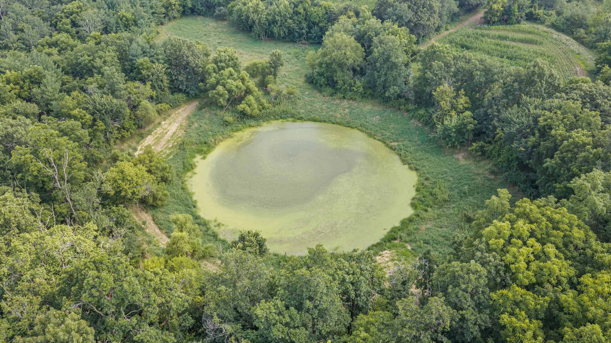 23+/- Acre Hobby Farm | Home | Pond | Outbuildings | Development Potential Online Auction