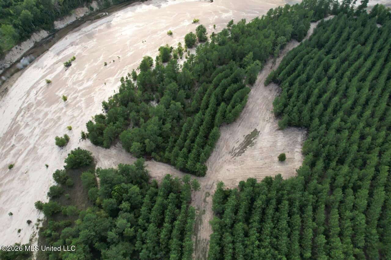 82± Acre Hunting Tract in Meadville, MS