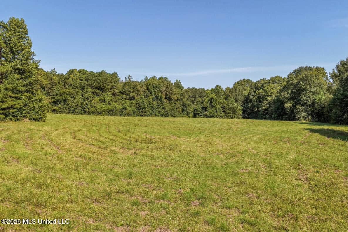 52.25± Acres in Copiah County, MS Near Hazlehurst