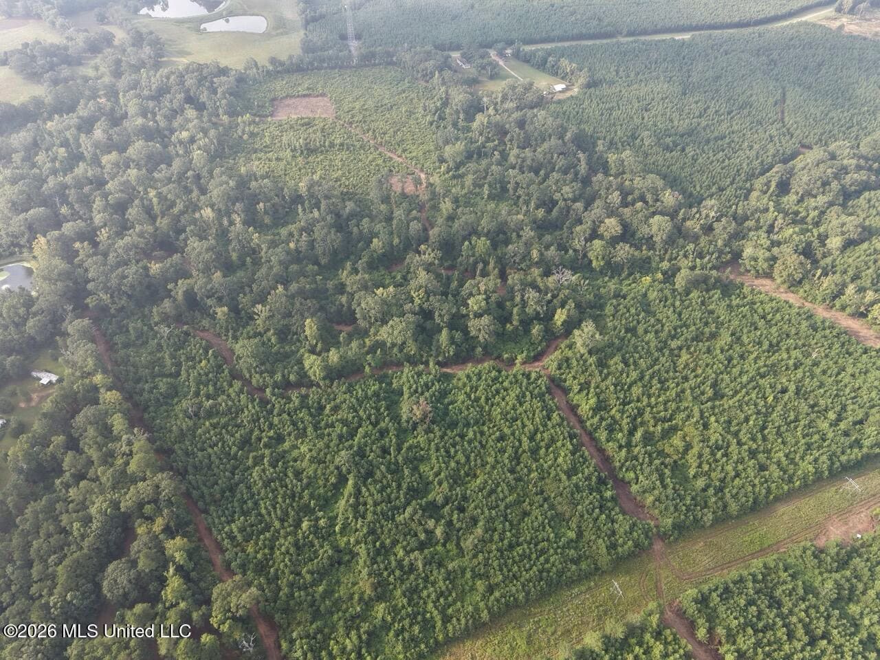 82± Acre Hunting Property in Wilkinson County, MS
