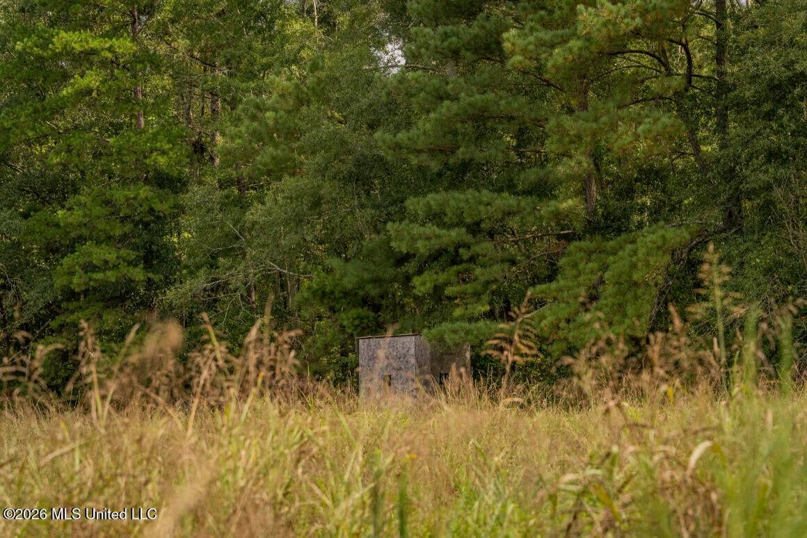 HWY 49 Land for Sale Simpson County, MS