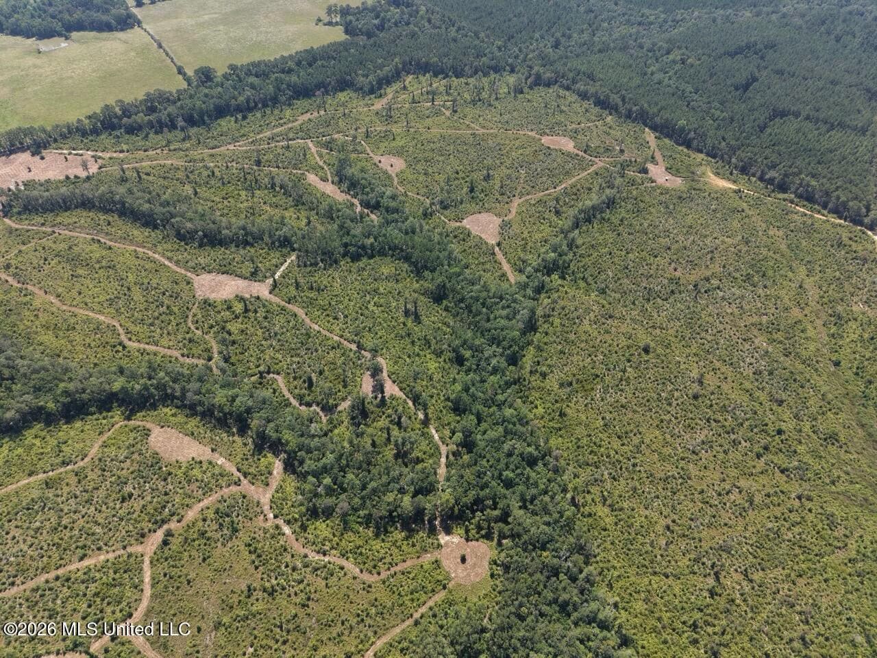 147± Acre Hunting Property in Plainview, LA