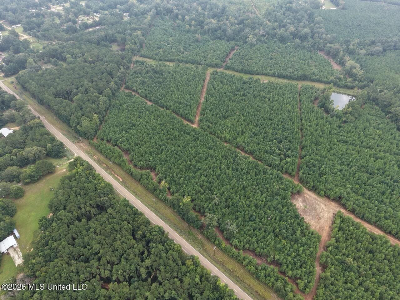 53± Acre Hunting Property Near Centreville, MS