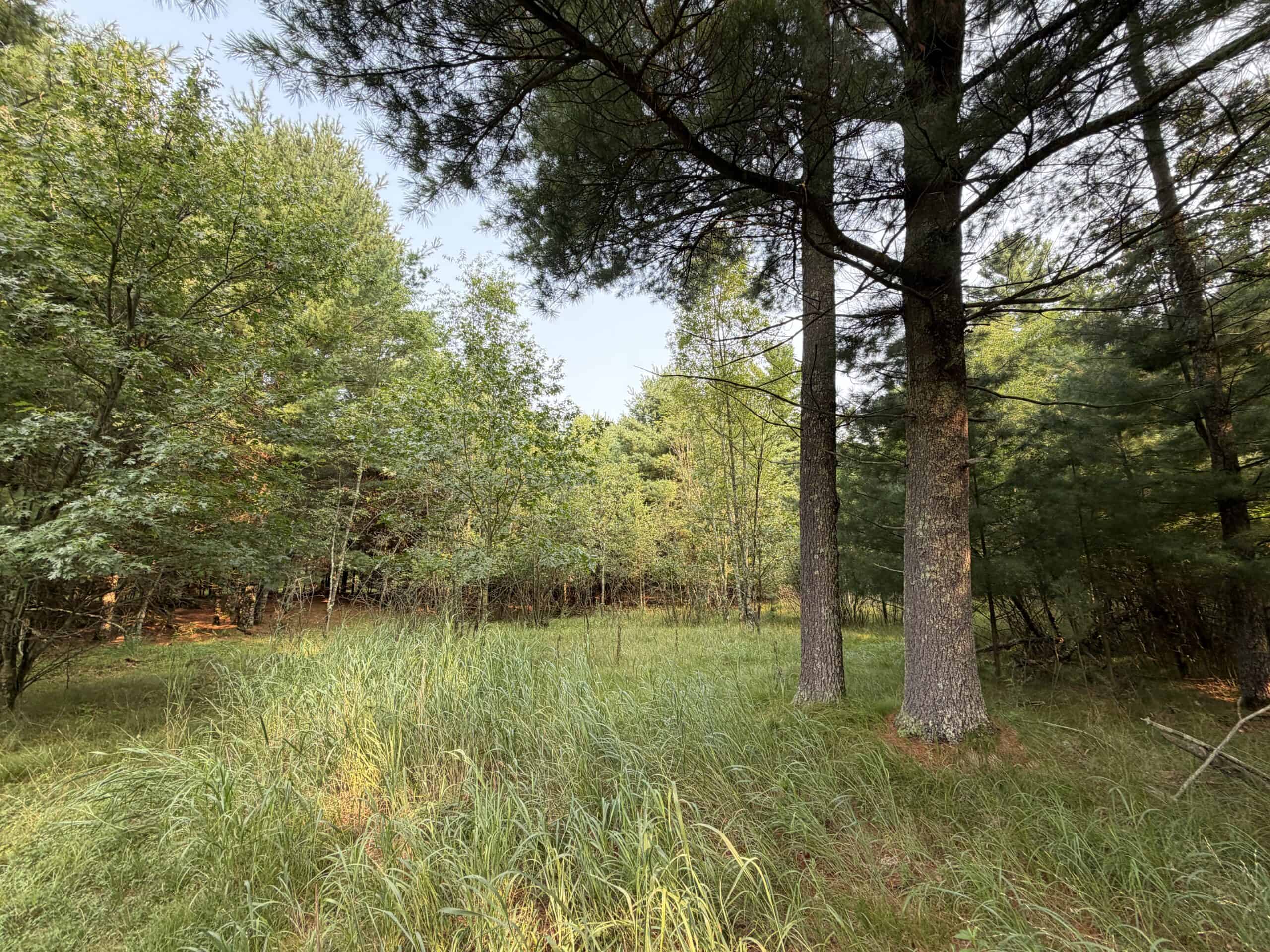 Rare opportunity to own 17.54 wooded acres within the City of Adams