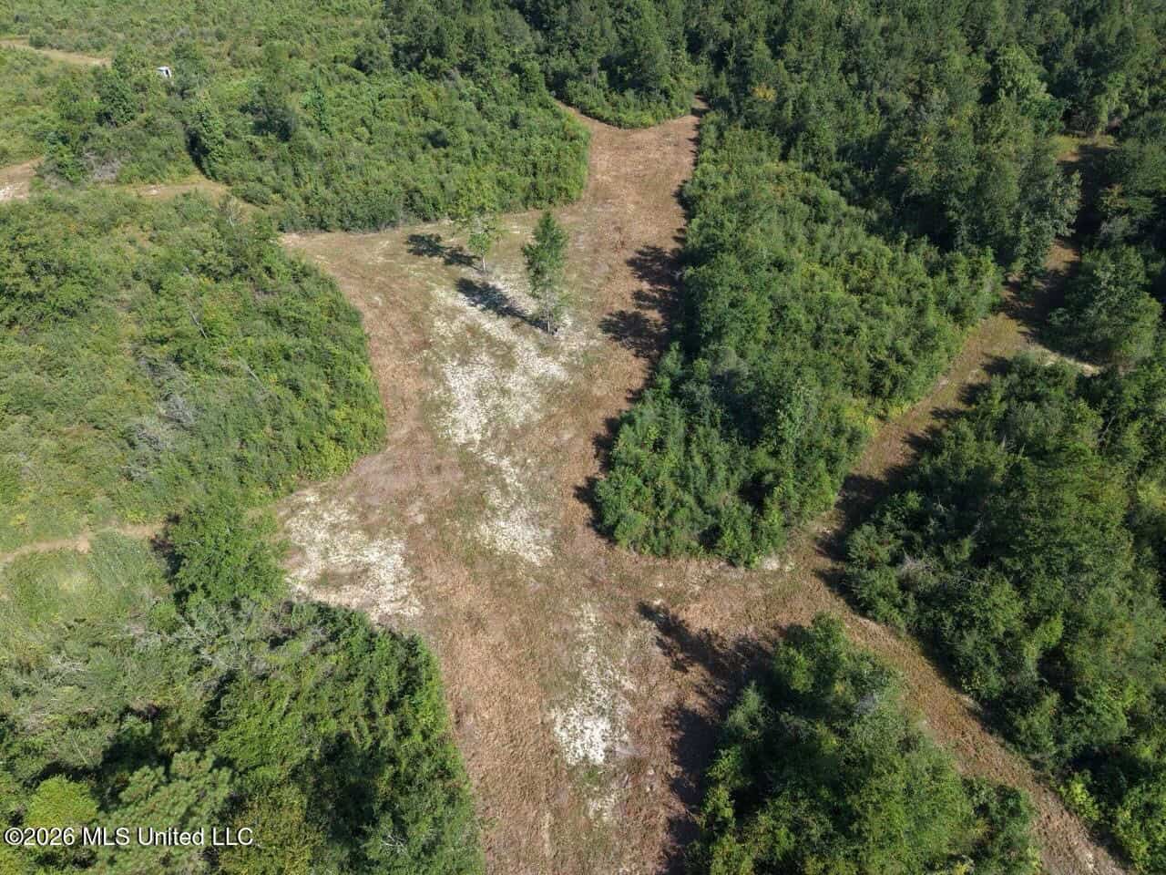 50± Acre Homesite & Hunting Land in Plainview, LA