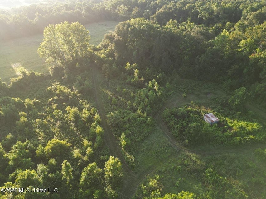 Home on 22± Acres in Monterey, LA