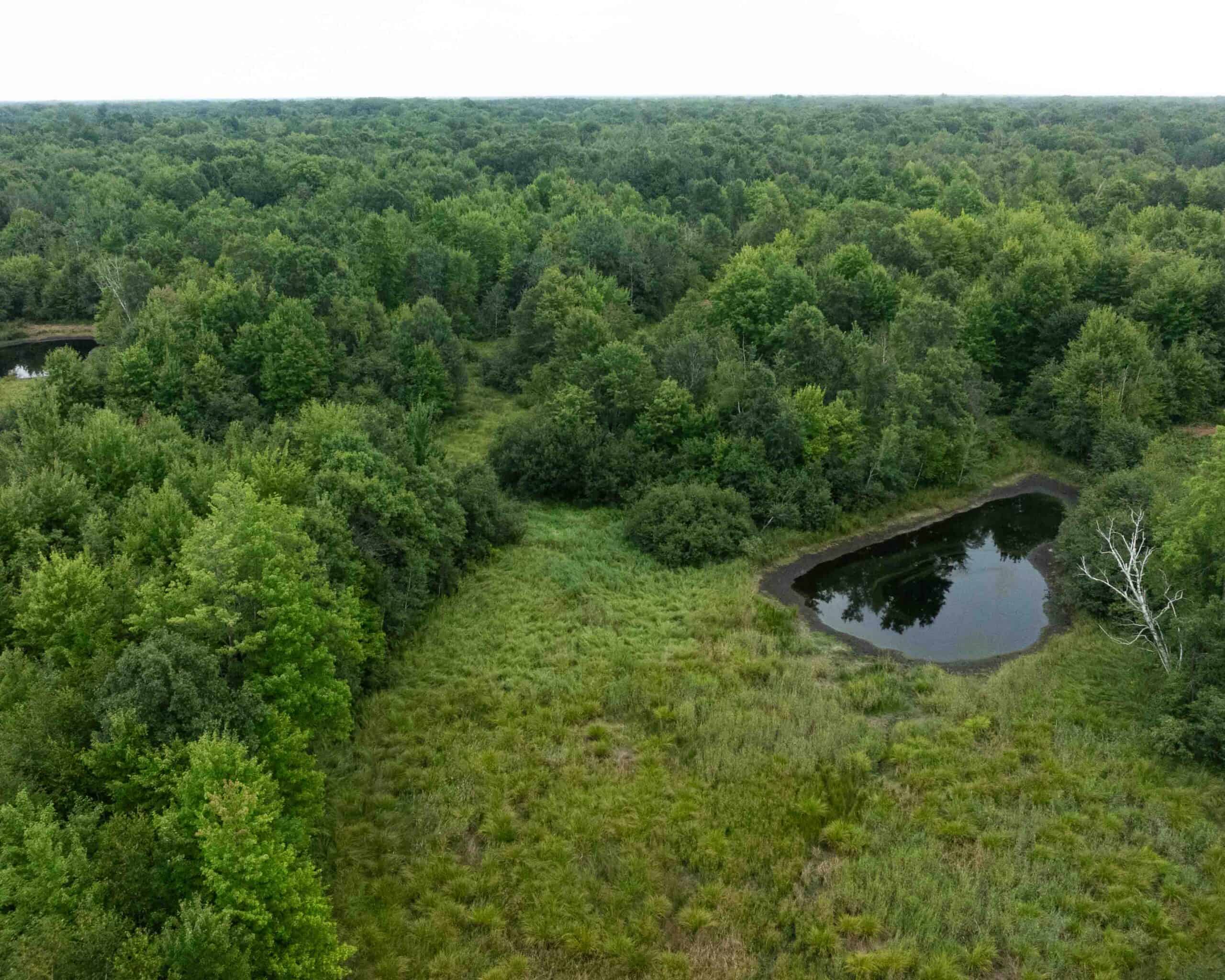 Juneau County WI 80 Acre Camp For Sale