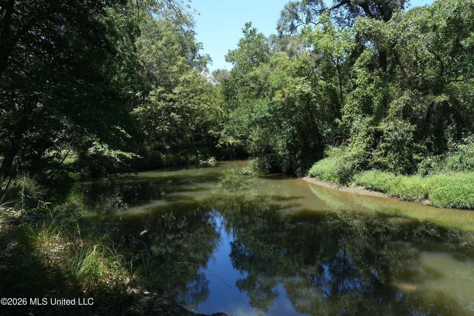150 Acres for Sale in Magnolia MS on Tangipahoa River