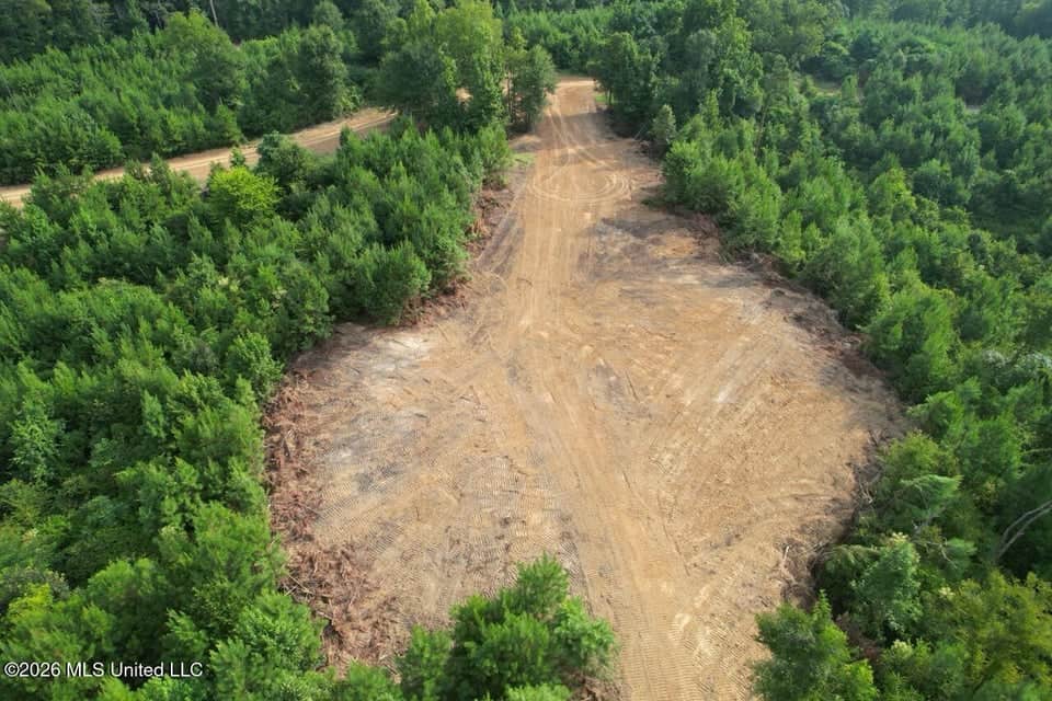 90± Acre Hunting Tract for Sale in Meadville, MS