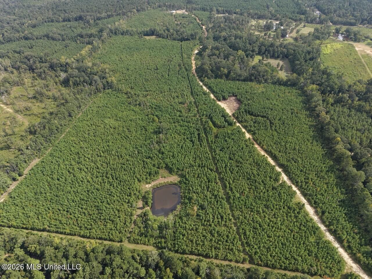 85± Acre Turnkey Hunting Property in Amite County, MS