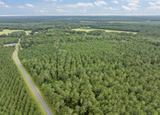 42-Acre Timber & Hunting Land for Sale in Edward, NC