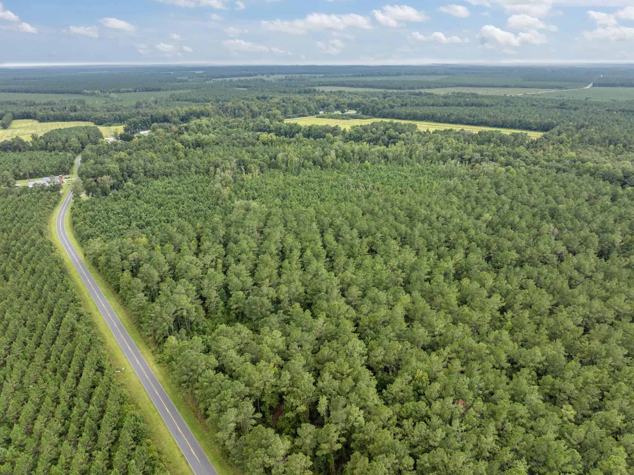 42-Acre Timber & Hunting Land for Sale in Edward, NC