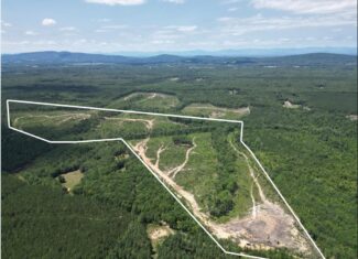 111 Acres of Prime Hunting & Recreation in Louisa County