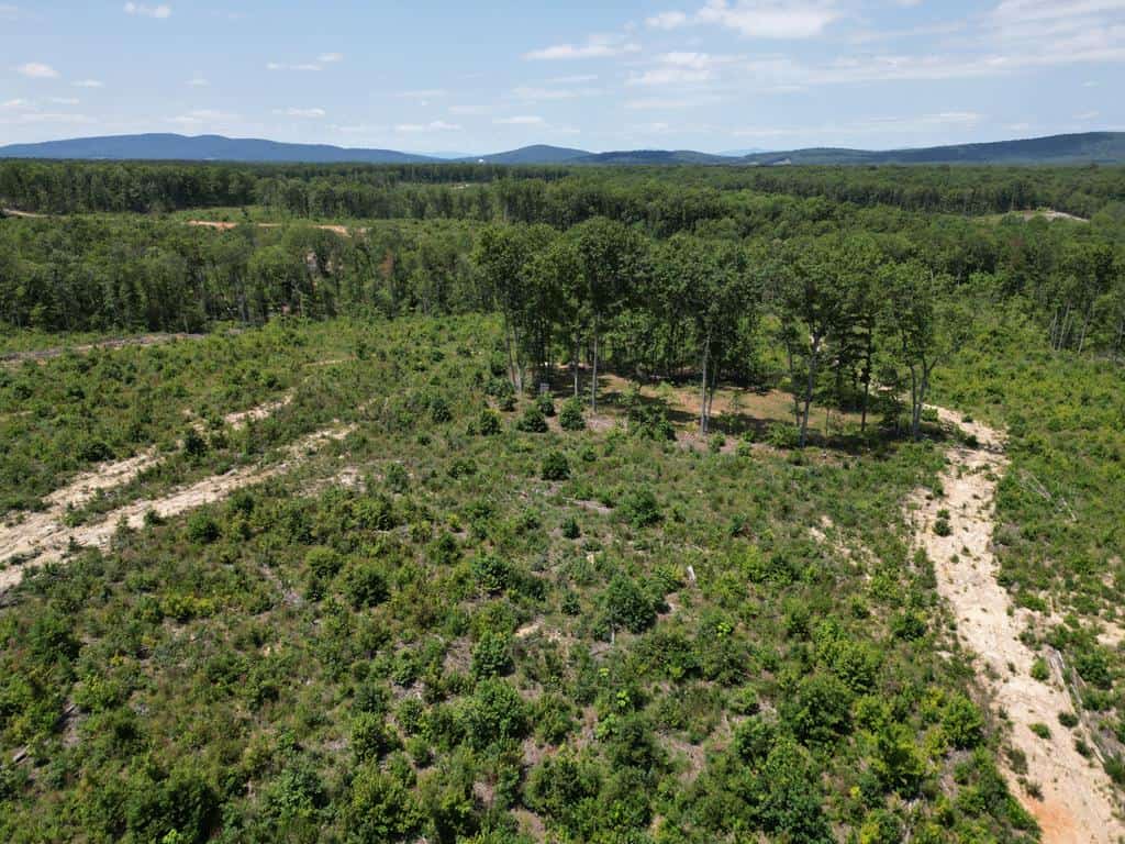 111 Acres of Prime Hunting & Recreation in Louisa County
