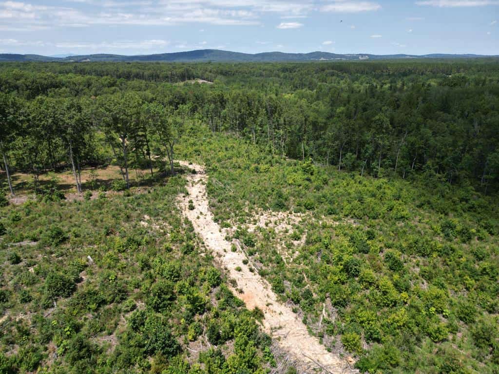 111 Acres of Prime Hunting & Recreation in Louisa County