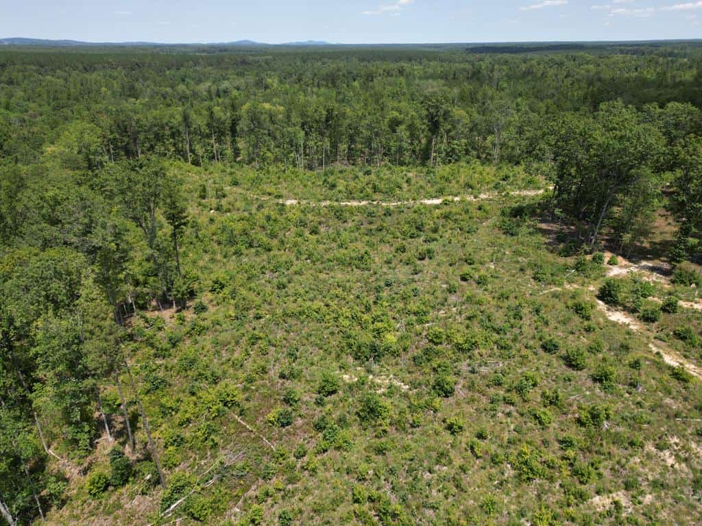 111 Acres of Prime Hunting & Recreation in Louisa County