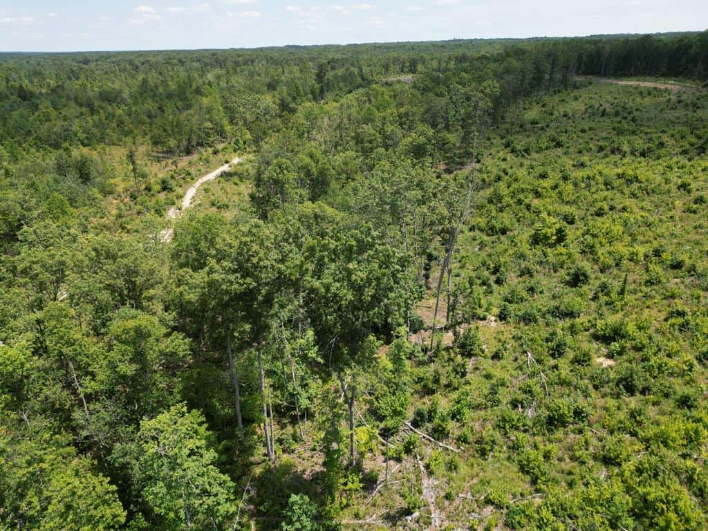 111 Acres of Prime Hunting & Recreation in Louisa County