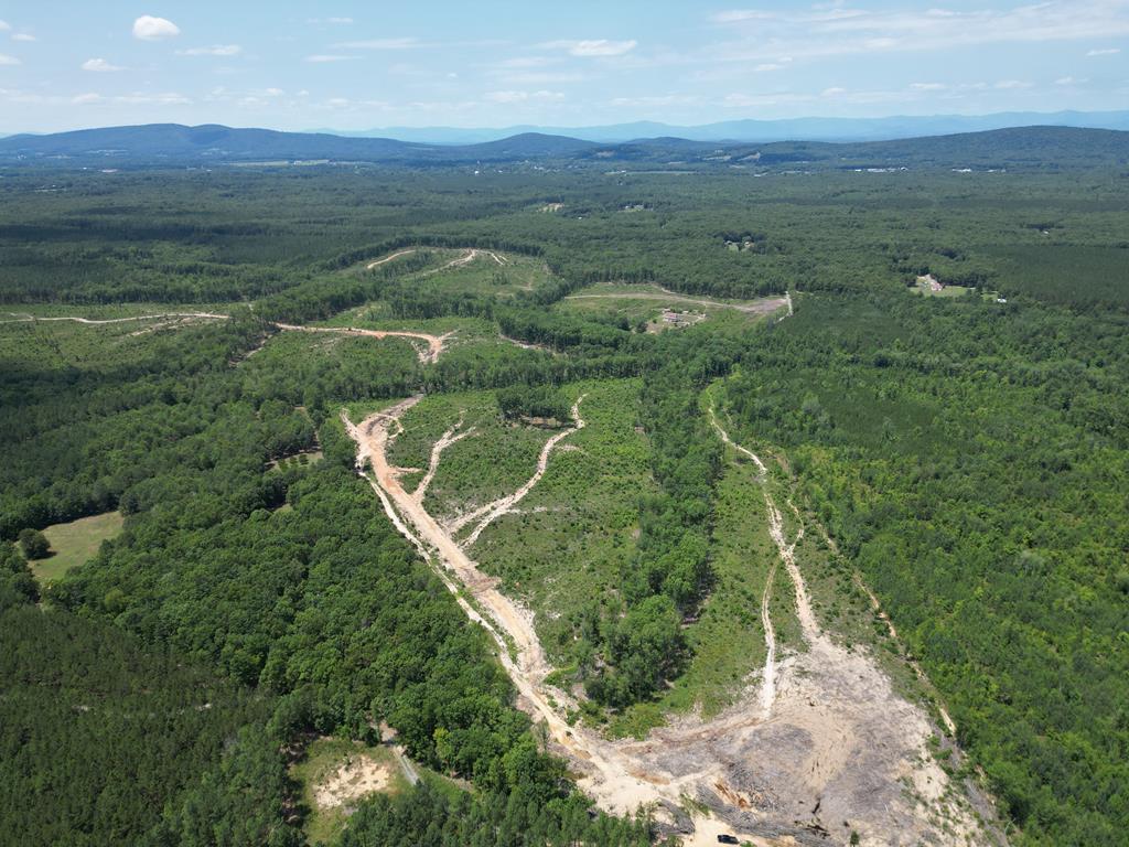 111 Acres of Prime Hunting & Recreation in Louisa County
