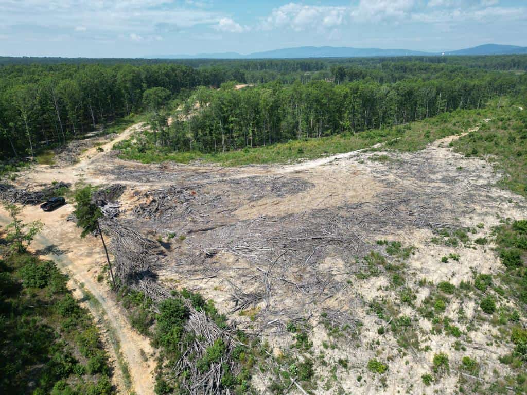111 Acres of Prime Hunting & Recreation in Louisa County
