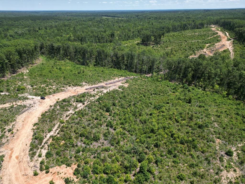 111 Acres of Prime Hunting & Recreation in Louisa County