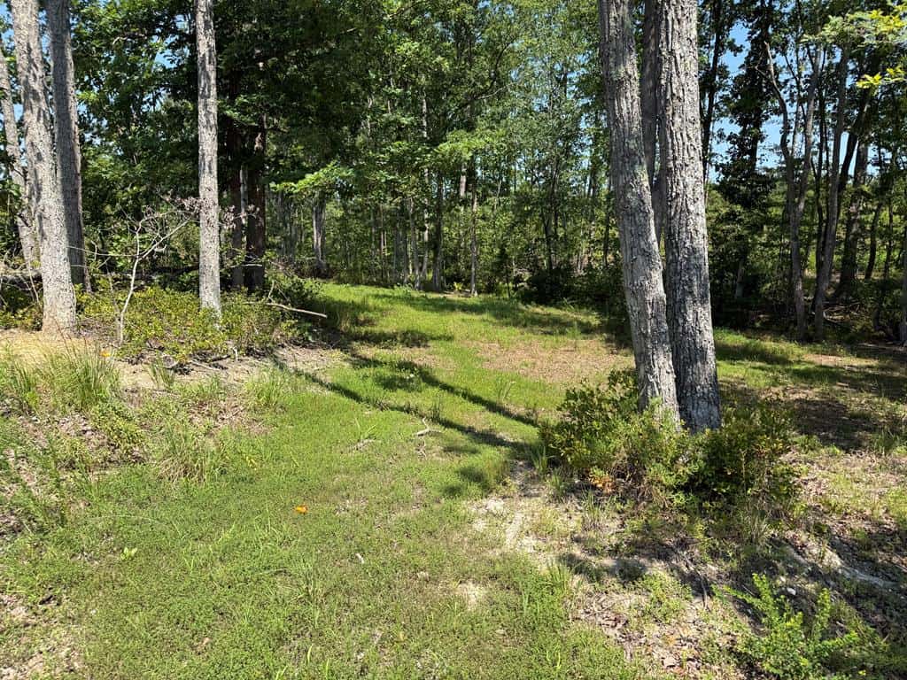 111 Acres of Prime Hunting & Recreation in Louisa County